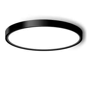 9inch LED Flush Mount Ceiling Light Fixture, Modern Black LED Ceiling Light, 18W 5000K 2160LM
